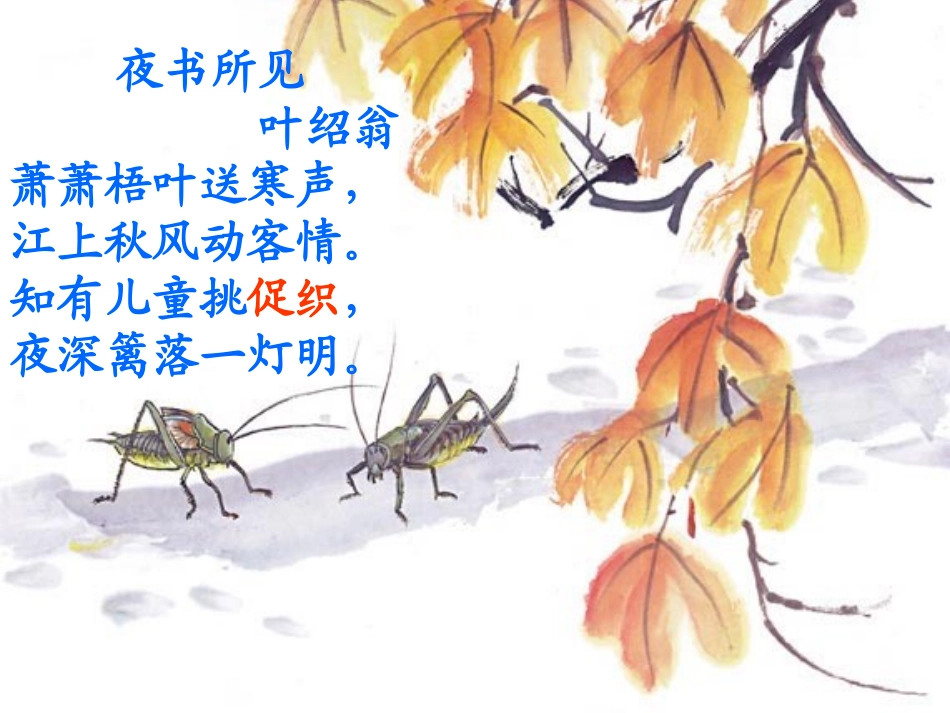 《蟋蟀的住宅》PPT课件 (4)_第1页