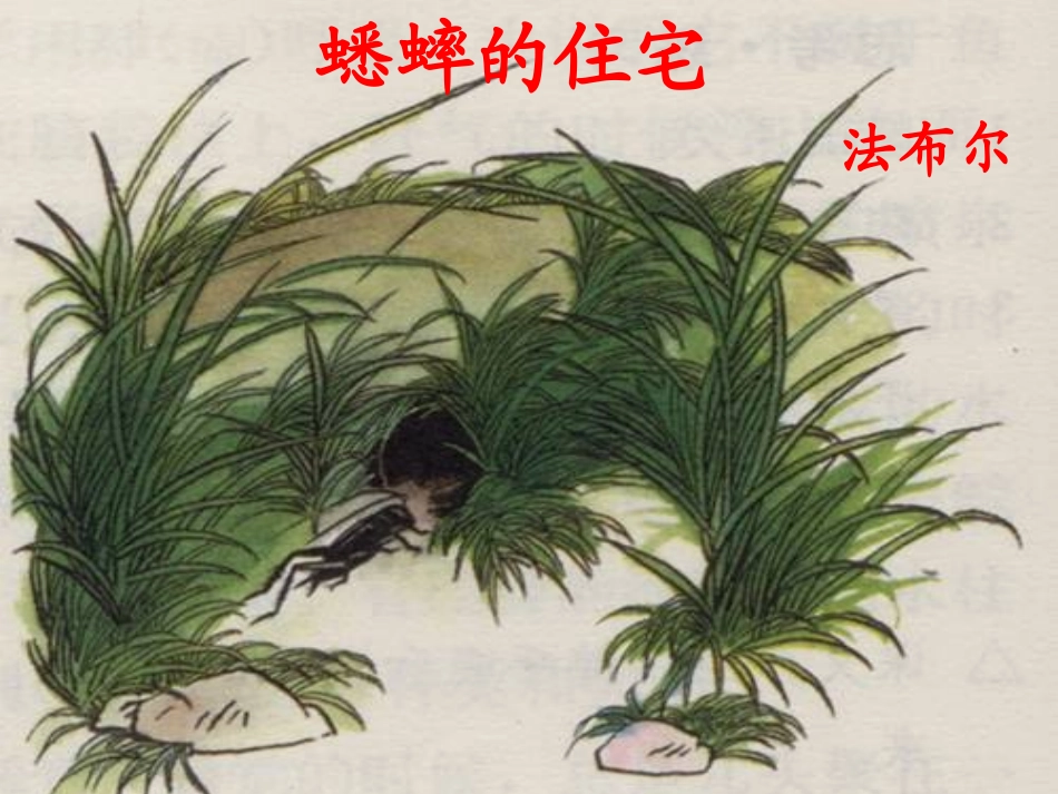 《蟋蟀的住宅》PPT课件 (4)_第2页