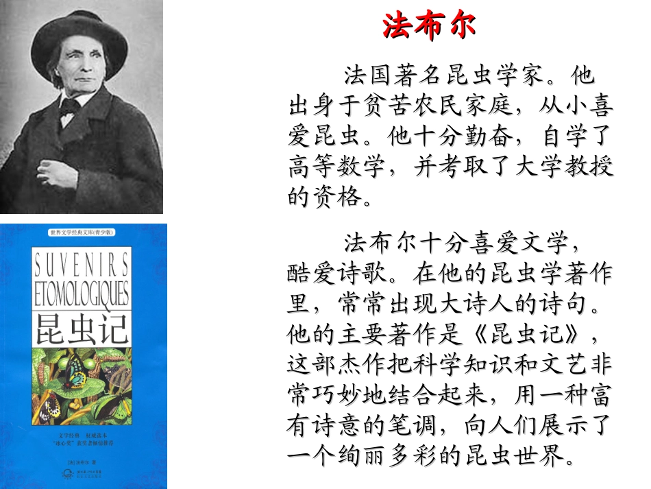 《蟋蟀的住宅》PPT课件 (4)_第3页