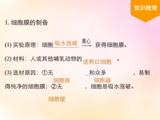 【名师一号模块新课标】2016届高考生物总复习26细胞器-系统内的分工合作课件新人教版必修1