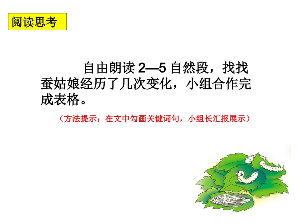 《蚕姑娘》PPT郝修月_第3页