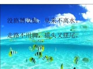 《热带鱼》课件(1)