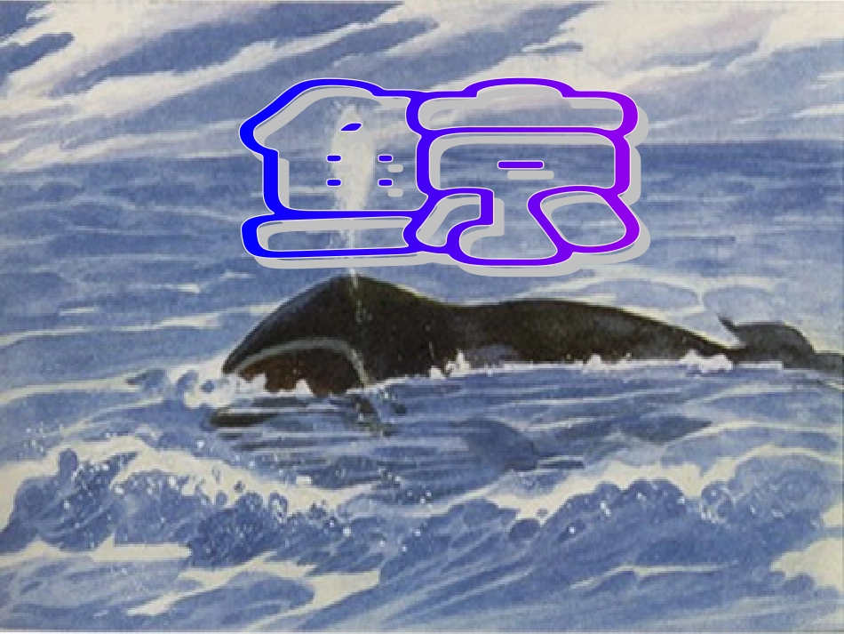 《鲸》课堂演示课件_第2页