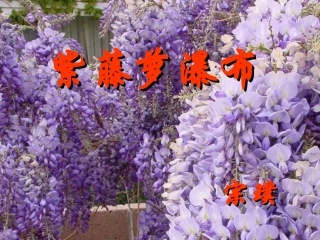 《紫藤萝瀑布》授课资料余文龙