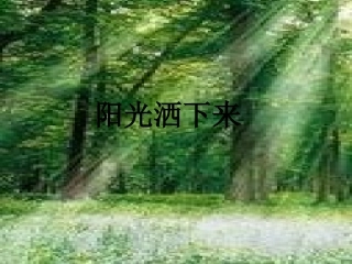 《阳光洒下来》教学课件(1)