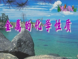 《金属的化学性质》16