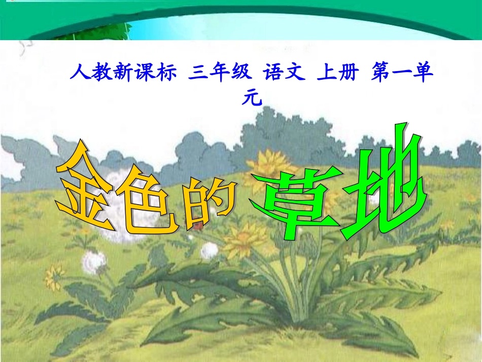 《金色的草地》教学课件3_第2页