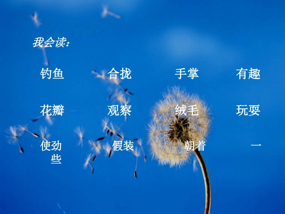 《金色的草地》教学课件3_第3页