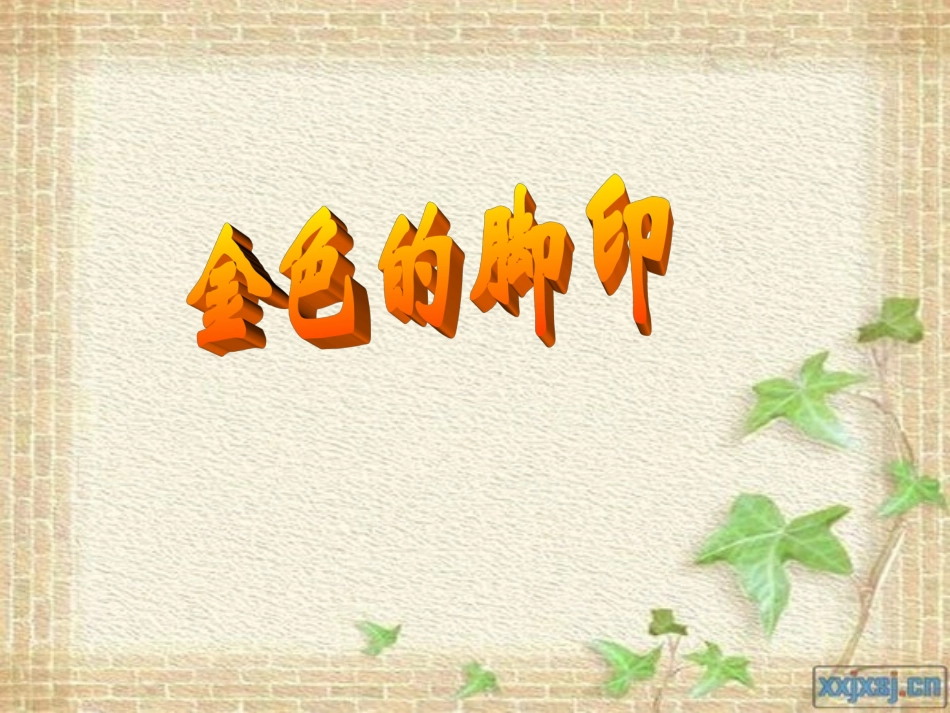《金色的脚印》教学课件_第1页
