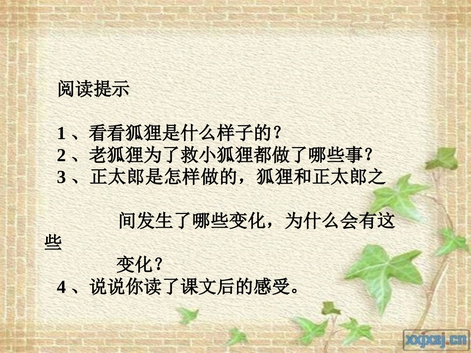 《金色的脚印》教学课件_第2页