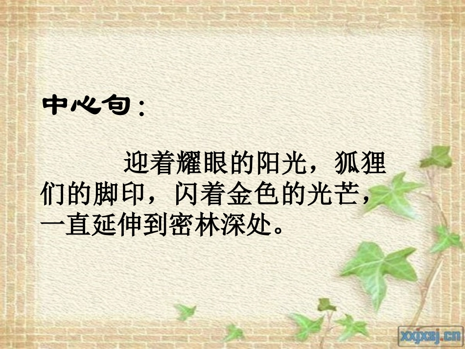 《金色的脚印》教学课件_第3页
