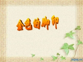 《金色的脚印》教学课件