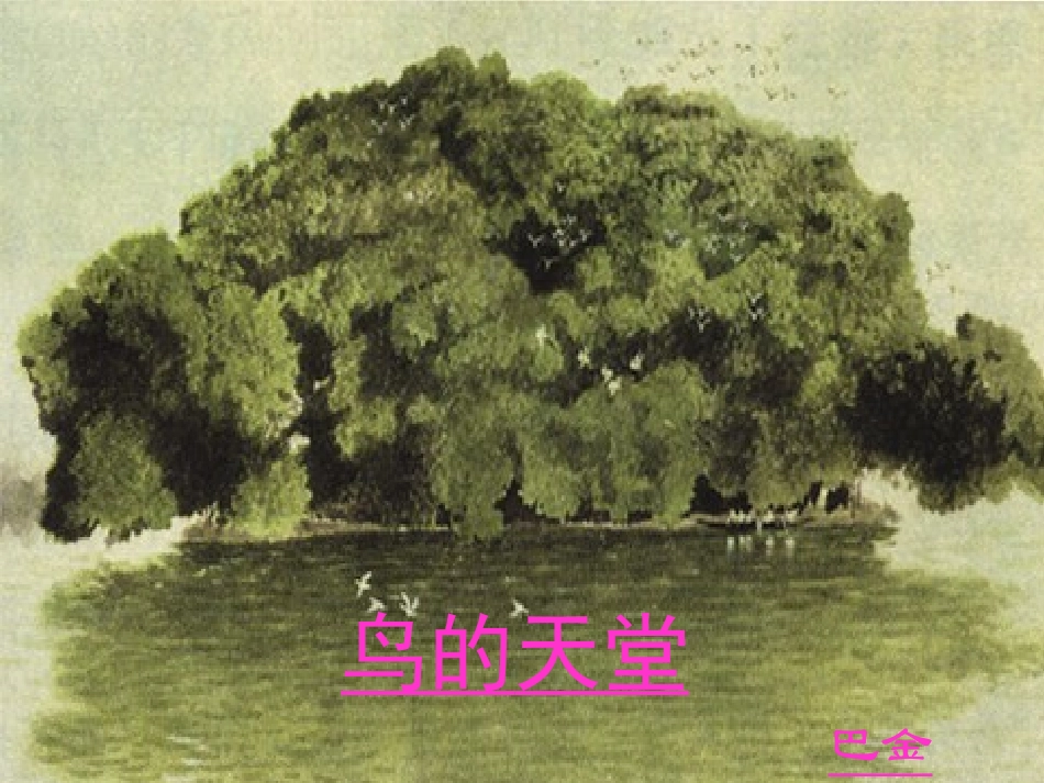 《鸟的天堂》课堂演示课件_第2页