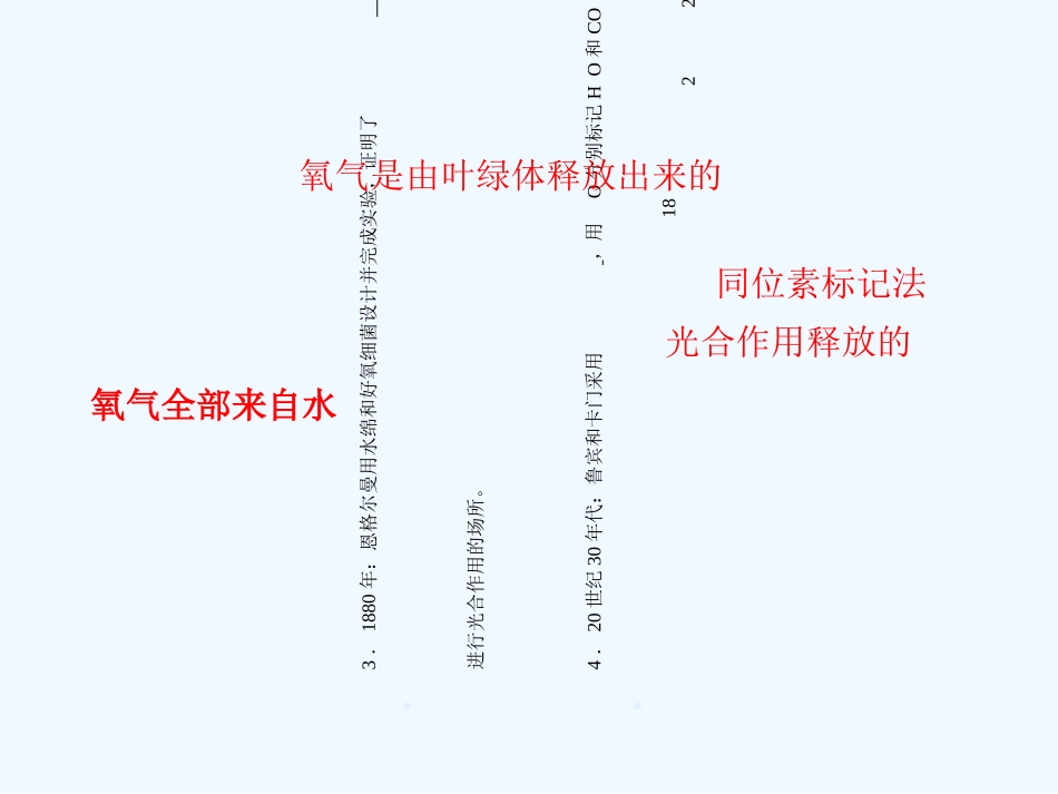 《金版新学案》2011高三生物一轮 课时2 光合作用课件 必修3_第3页