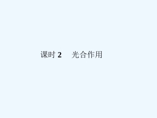 《金版新学案》2011高三生物一轮 课时2 光合作用课件 必修3