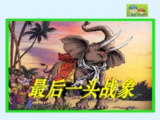 《最后一头战象》焦文彬(1)
