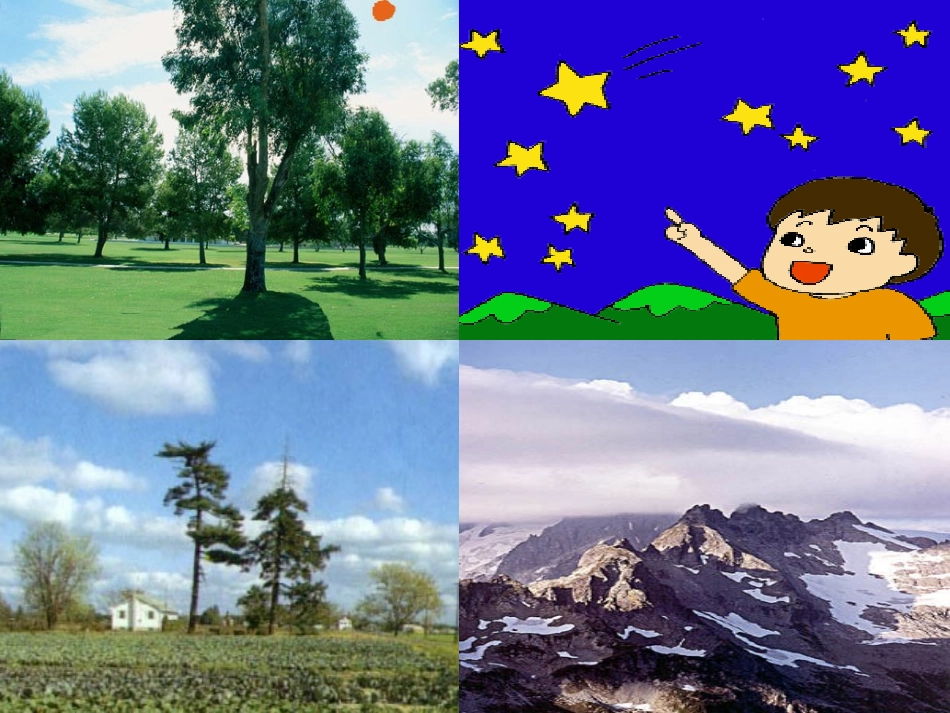 《要是你在野外迷了路》课件【21页】_第3页