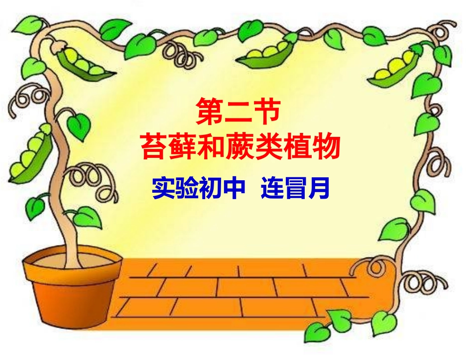 《苔藓和蕨类植物》_第3页