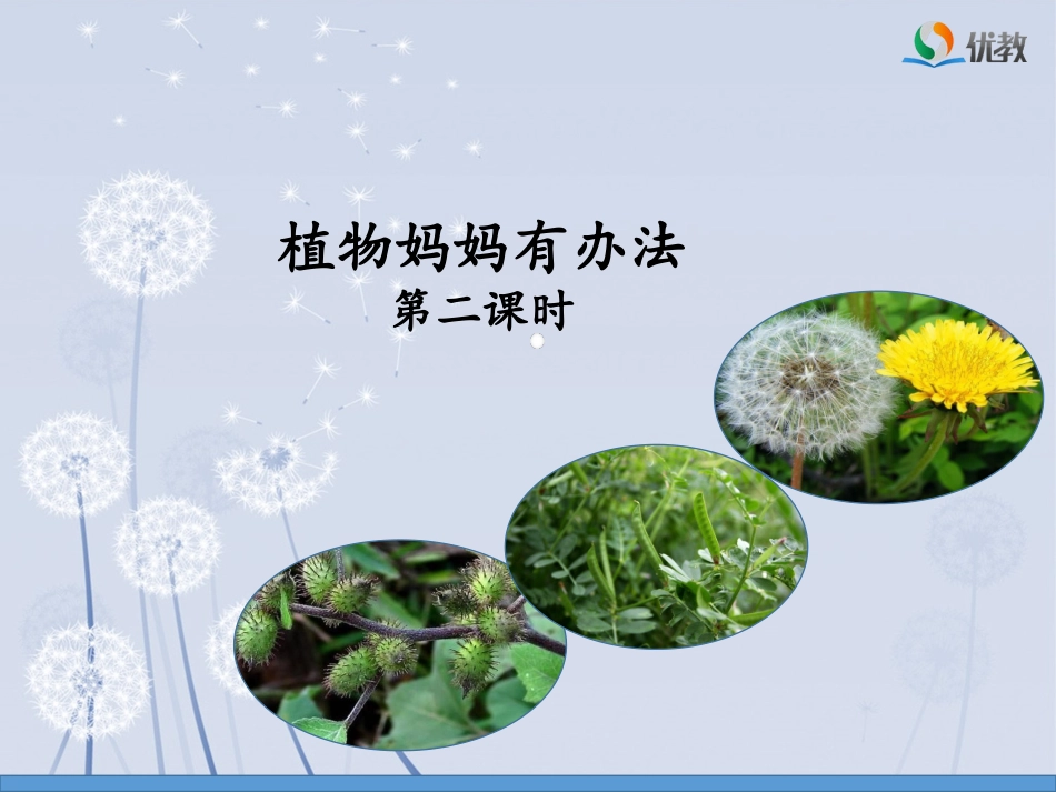 《植物妈妈有办法》名师课件（第二课时）_第1页