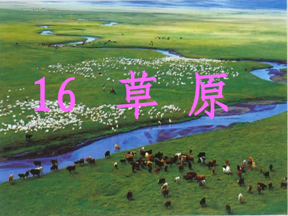 《草原》课件1 (2)_第1页