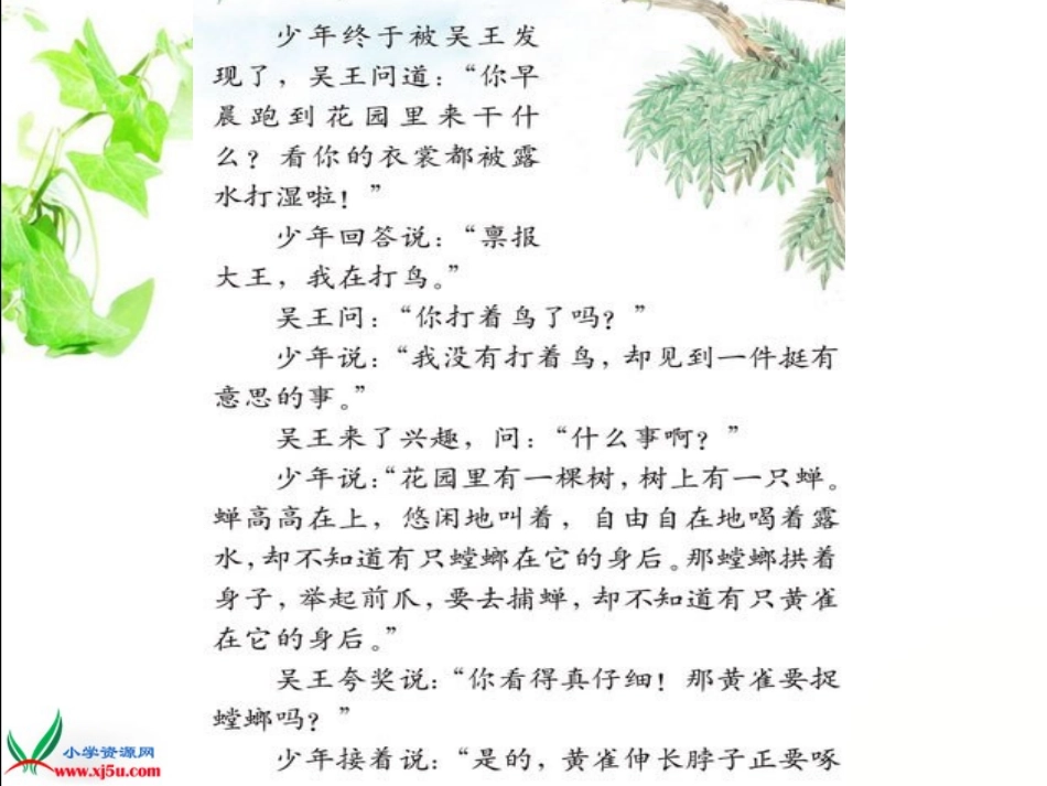 《螳螂捕蝉》PPT课件之一（苏教版六年级语文下册课件）_第3页