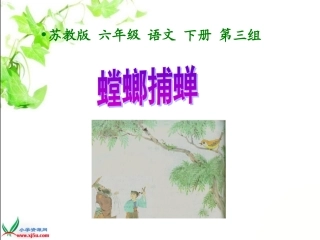 《螳螂捕蝉》PPT课件之一（苏教版六年级语文下册课件）