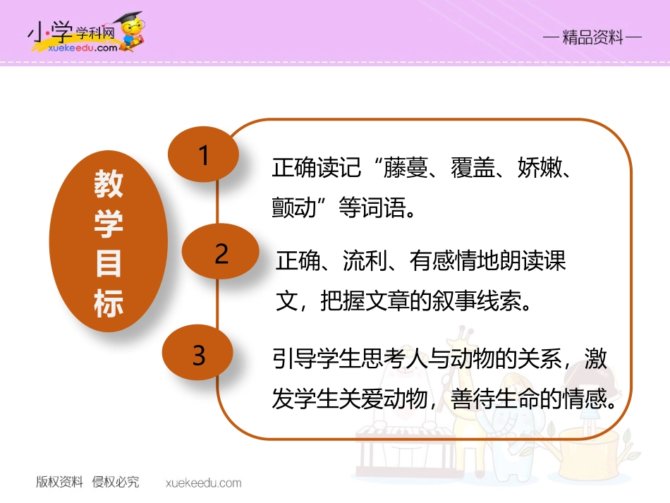 【精品】25珍珠鸟（课件PPT）-鲁教版-五年级语文下册_第2页