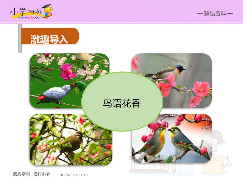【精品】25珍珠鸟（课件PPT）-鲁教版-五年级语文下册_第3页