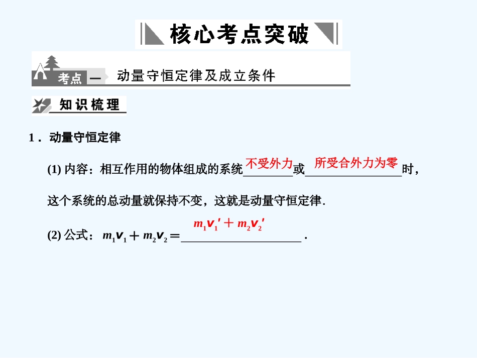【创新设计】2011届高考物理一轮复习 第6章 第2课时 动量守恒定律及其应用课件 人教大纲版_第2页