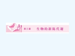 《金版新学案》2011高三生物一轮 课时1 新陈代谢与酶、ATP课件 必修3