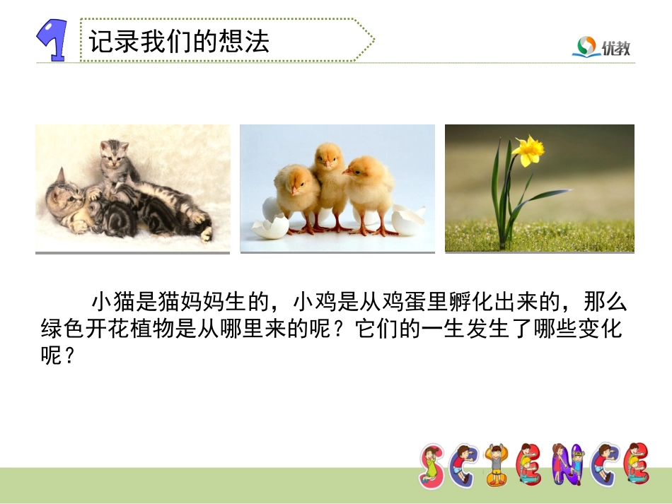 《植物新生命的开始》教学课件 (2)_第3页