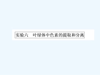 《金版新学案》2011高三生物一轮 实验六 叶绿体中色素的提取和分离课件 必修3