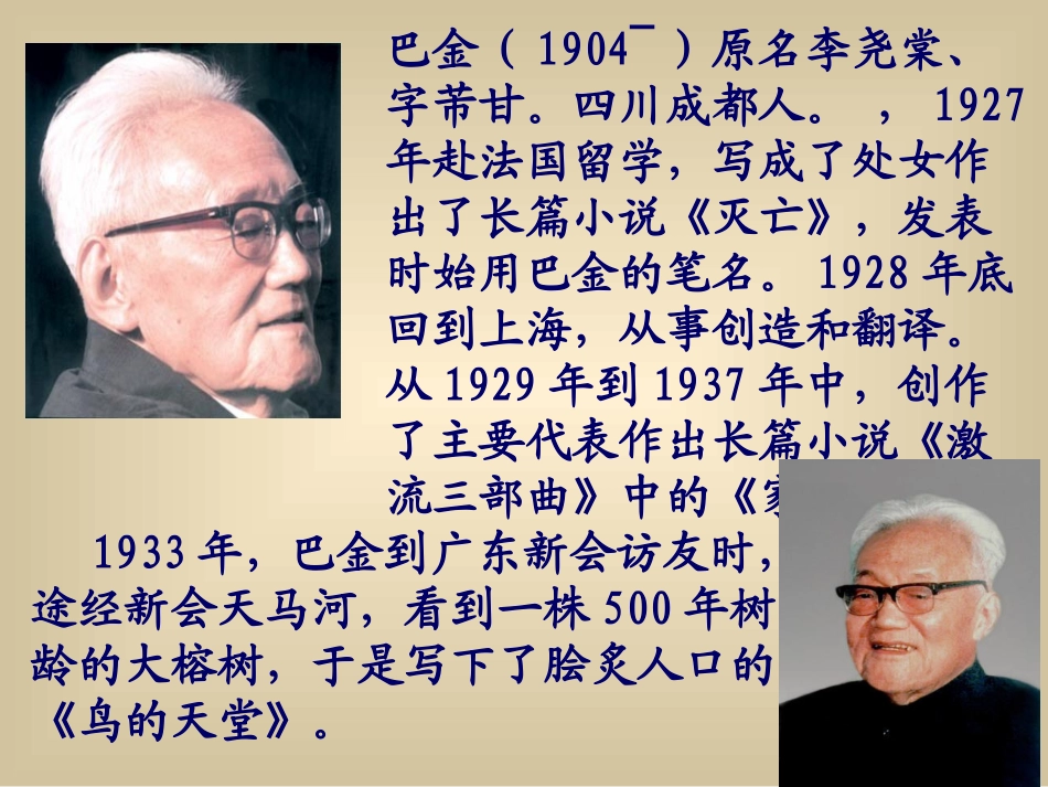 《鸟的天堂》课件 (4)_第1页