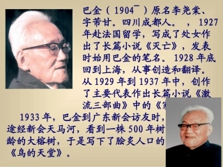 《鸟的天堂》课件 (4)