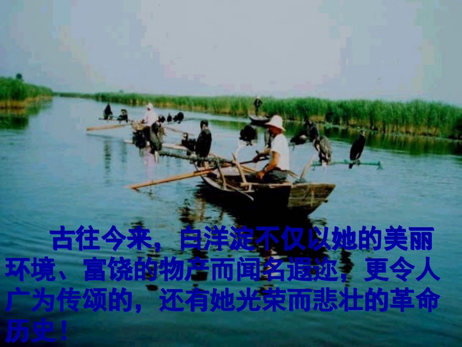《芦花荡》 (2)_第3页