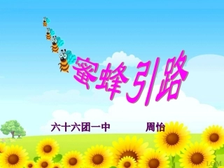 《蜜蜂引路》课件 (4)