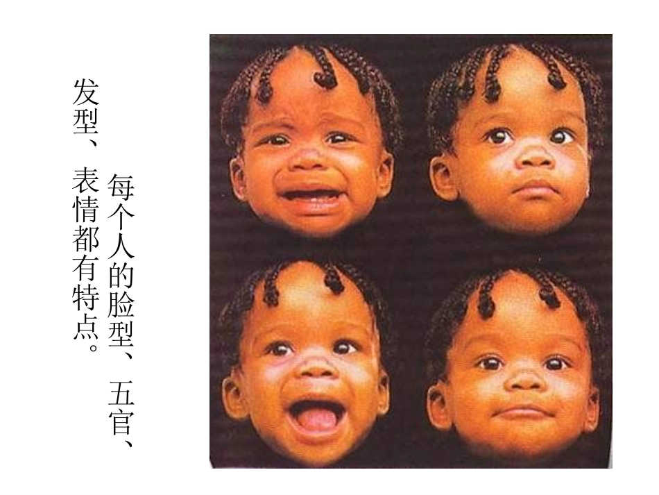 《自画像》课件1_第3页