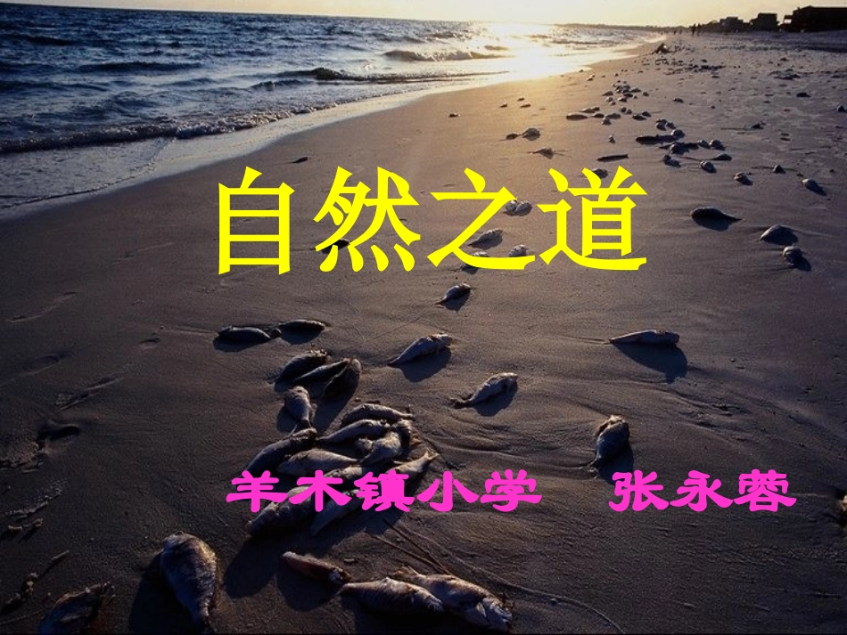 《自然之道》_第1页
