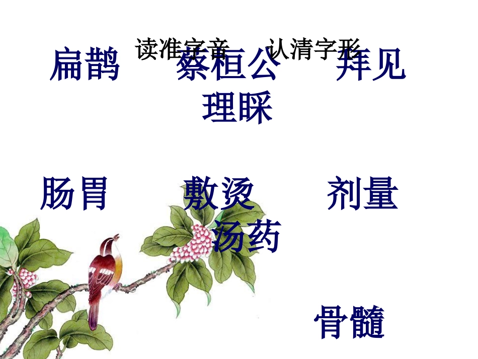 【精品】扁鹊治病1_第3页