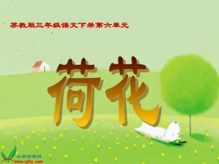 《荷花》PPT之二课件