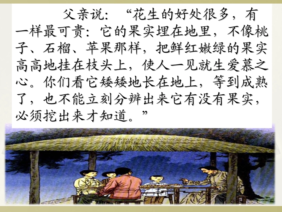 《落花生》课件3_第3页