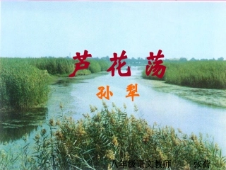 《芦花荡》课件