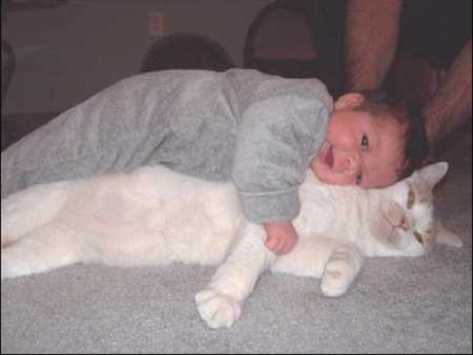 《金色的脚印》课件 (3)_第1页