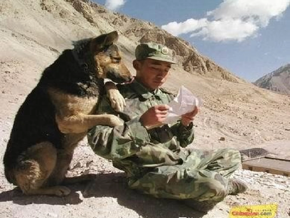 《金色的脚印》课件 (3)_第2页