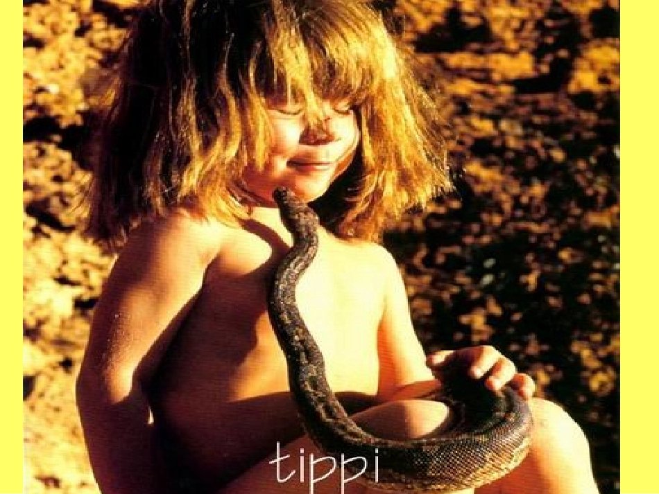 《金色的脚印》课件 (3)_第3页