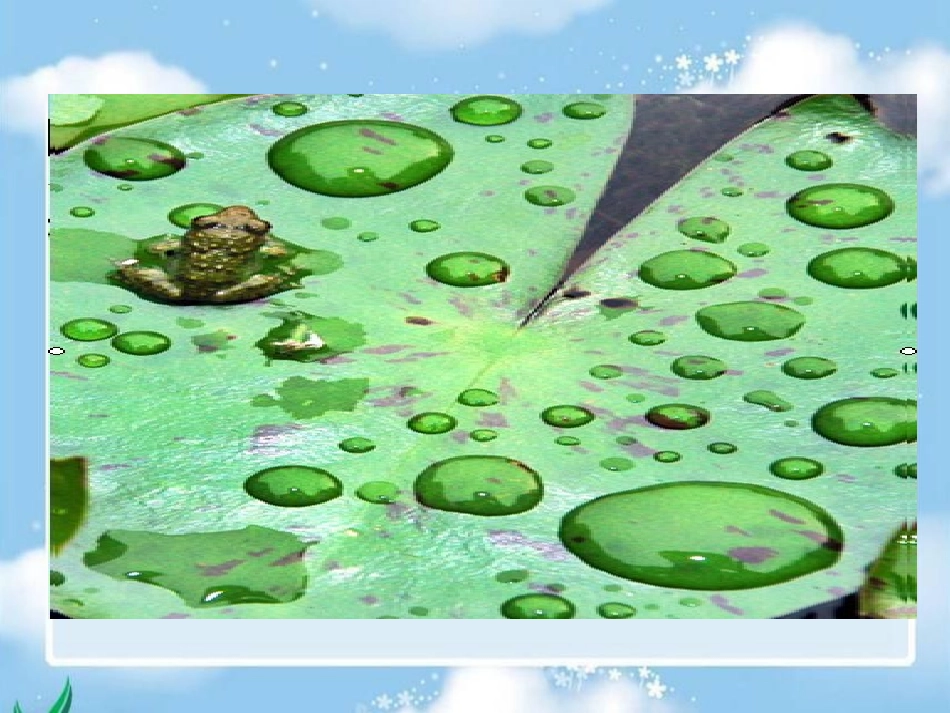 《雨后》课件(语文S版二年级下册课件)_第2页