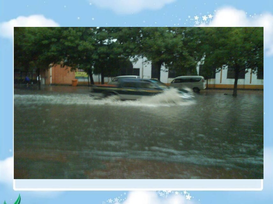 《雨后》课件(语文S版二年级下册课件)_第3页