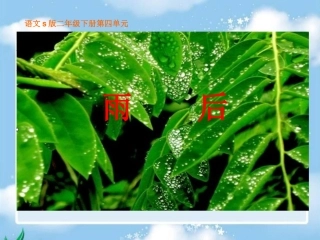 《雨后》课件(语文S版二年级下册课件)