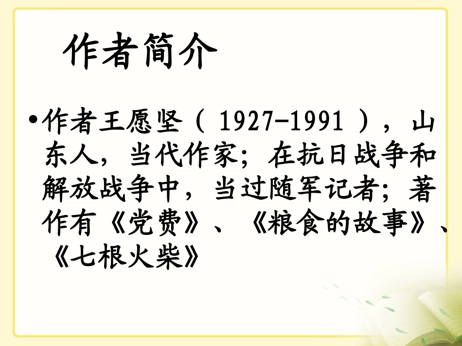 《灯光》教学课件新_第3页