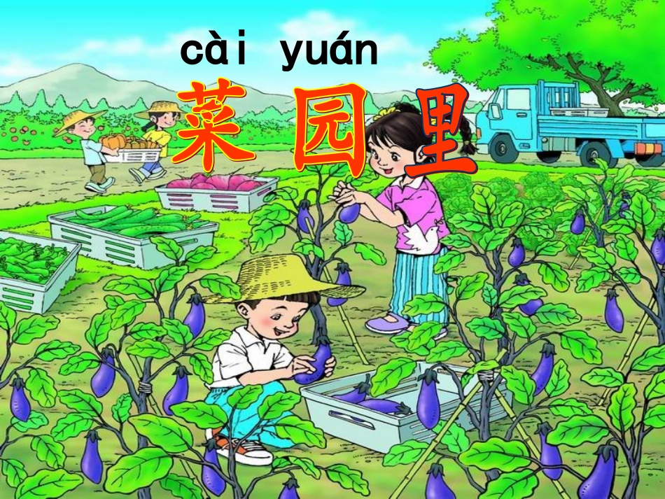 《菜园里》课件PPT_第3页